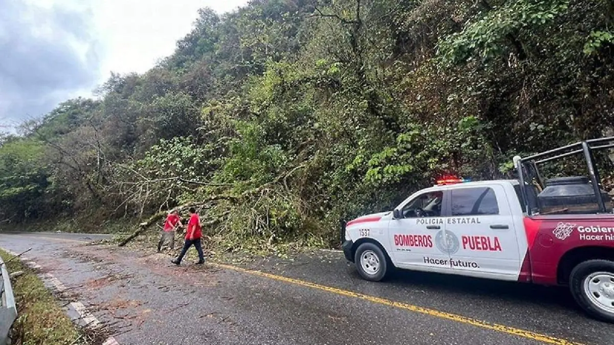 Tomena alberto provoca lluvias en sierra norte de Puebla